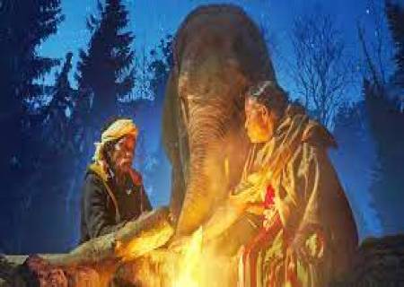 95-வது ஆஸ்கர்  விருதினை வென்ற சிறந்த  ஆவணக் குறும் படம்."THE  ELEPHANT WHISPERERS" .