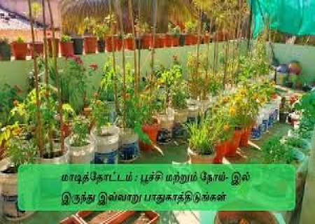 மாடித்தோட்ட பூச்சி தாக்குதலை சமாளிப்பது எப்படி?