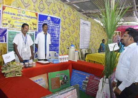 திருவில்லிபுத்தூர் வட்டம், படிக்காசு வைத்தான்பட்டி கிராமத்தில், மாவட்ட ஆட்சித்தலைவர்   அவர்கள் தலைமையில் மக்கள் தொடர்பு திட்ட முகாம் நடைபெற்றது