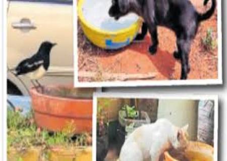  வெயில் காலம் ஆரம்பித்து விட்டது. வீட்டிற்கு முன் தண்ணீர் வைக்க மறக்காதீர்கள். தவிச்ச வாய்க்கு தண்ணீர் வழங்குங்கள்.