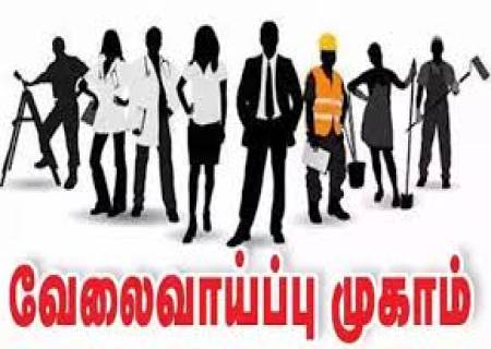 சிறிய அளவிலான தனியார் துறை வேலைவாய்ப்பு முகாம்