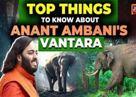 அனந்த் அம்பானியின் வந்தாராவில்48 இனங்களைச் சேர்ந்த25,000க்கும் மேற்பட்ட விலங்குகள் உள்ளன,
