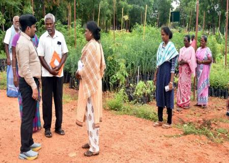 ஊராட்சி ஒன்றியப் பகுதிகளில் பயிர்சேதாரம் கணக்கீட்டின் உண்மைத்தன்மை மற்றும் பேச்சில்லா கிராமப்புற பகுதிகளின் அடிப்படை வசதிகள் குறித்து மாவட்ட ஆட்சித்தலைவர்   அவர்கள் நேரில் சென்று பார்வையிட்டு ஆய்வு செய்தார்.