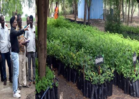 சாத்தூர் ஊராட்சி ஒன்றியத்திற்குட்பட்ட பல்வேறு பகுதிகளில் நடைபெற்று வரும் வளர்ச்சி திட்டப் பணிகள் குறித்து  மாவட்ட ஆட்சித்தலைவர் அவர்கள் ஆய்வு செய்தார்.