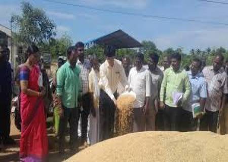 நெல் கொள்முதல் செய்ய 13 இடங்களில் நெல் கொள்முதல் நிலையங்கள் அமைக்கப்பட்டுள்ளது, விவசாயிகள் விளைவித்த நெல்லை விற்பனை செய்து பயன்பெறலாம்