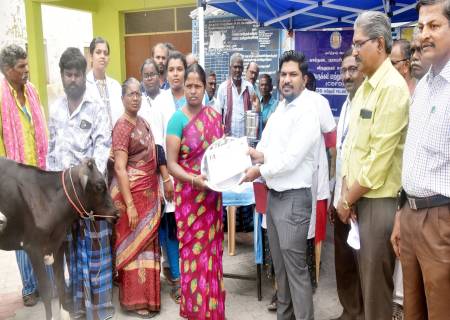 விருதுநகர் ஊராட்சி ஒன்றியம் கூரைக்குண்டு கிராமத்தில் கால்நடைசிறப்பு மருத்துவ முகாமினை மாவட்ட ஆட்சித்தலைவர் அவர்கள் தொடங்கி வைத்தார்.