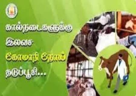 விருதுநகர் மாவட்டத்தில் உள்ள பசு மற்றும் எருமை இனங்களை கோமாரி நோயிலிருந்து  காக்கும் வண்ணம் கால்நடை பராமரிப்புத்துறை சார்பில் தேசிய கால்நடை நோய் தடுப்புத் திட்டம் மூலம், கோமாரி நோய் தடுப்பூசி முகாம்.