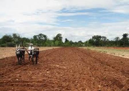 "ஆடிப்பட்டம் " விவசாய பணிகள் ராஜபாளையம் பகுதியில் தொடங்கின