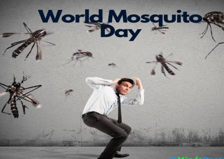 கொசு ஒழிப்பு தினம் ( 20.08.2025)