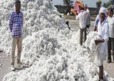 ந்திய பருத்தி கழகம் (சிசிஐ) கோயம்புத்துார் கிளை சார்பில் 2025-26 நிதியாண்டில் ஒன்பது இடங்களில் பருத்தி கொள்முதல் மையம் அமைக்கப்படும்.