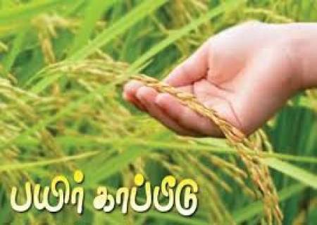 பிரதம மந்திரி பயிர் காப்பீட்டுத் திட்டத்தின் கீழ் 2025 – 2026 ஆம் ஆண்டின் ராபி பருவ   பயிர்களுக்கு பயிர் காப்பீடு செய்ய கடைசி நாள் 15.11.2025 என மாவட்ட ஆட்சித்தலைவர் அவர்கள் தகவல்.