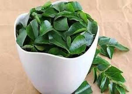 காலை வெறும் வயிற்றில் கருவேப்பிலை  மென்று சாப்பிடுவதால்....