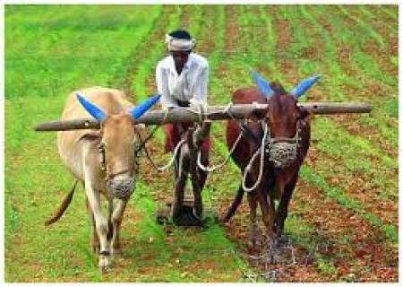 “அடர விதைத்துச் சிதறப் பிடுங்கு”