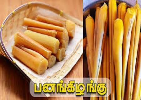 மார்கழி மாதம் துவங்கும்  ஸ்ரீவில்லிபுத்தூர் பனங்கிழங்கு சீசன்.