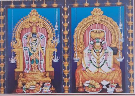 அருள்மிகு சொக்கர் கோவில் என்ற ஸ்ரீ மீனாக்ஷி சுந்தரேச்வரர் திருக்கோவில்  இராஜபாளையம் மாசி மகம் மஹா ப்ரம்மோற்சவம் .