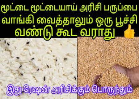 பழங்கள்,காய்கள் வாங்கும் போது கவனிக்க வேண்டியவை .