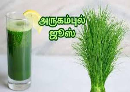 சர்க்கரை அளவு கட்டுப்பட அருகம்புல் சாறு.