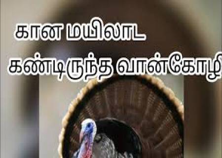 பறவைகள் பற்றிய பழமொழிகள் -2