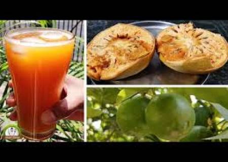 வில்வ பழம் ஜுஸ்.