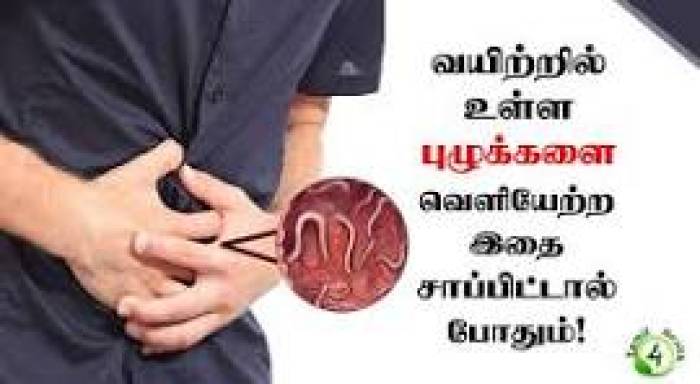 வயிற்றில் உள்ள பாக்டீரியா குடற்புழுக்களை கொல்லும் உணவுகள்