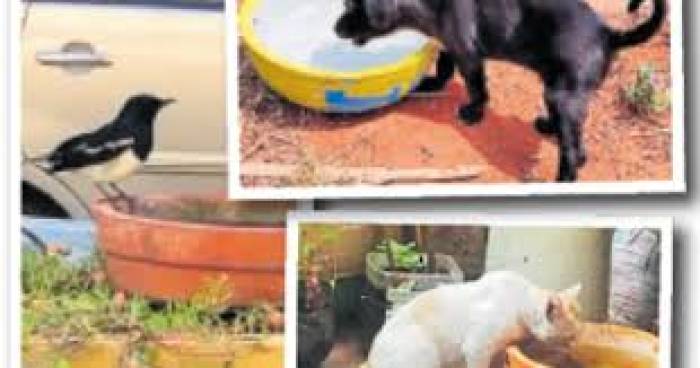  வெயில் காலம் ஆரம்பித்து விட்டது. வீட்டிற்கு முன் தண்ணீர் வைக்க மறக்காதீர்கள். தவிச்ச வாய்க்கு தண்ணீர் வழங்குங்கள்.