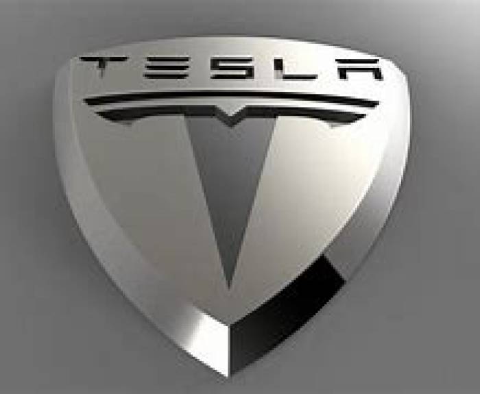 எலான் மஸ்க் அவர்களின் டெஸ்லா நிறுவனம் இந்தியாவில் நுழைகிறது .