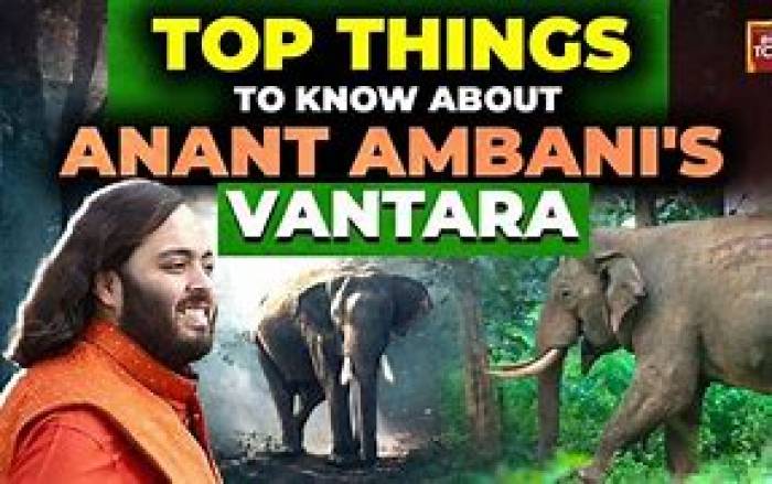 அனந்த் அம்பானியின் வந்தாராவில்48 இனங்களைச் சேர்ந்த25,000க்கும் மேற்பட்ட விலங்குகள் உள்ளன,