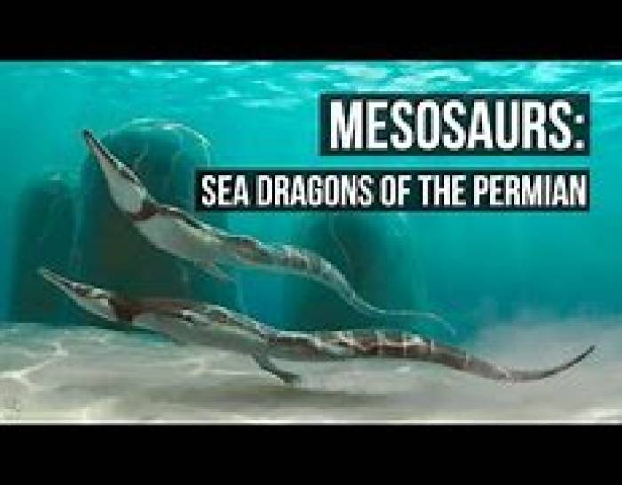 மீசோசர்ஸ் (Mesosaurs)