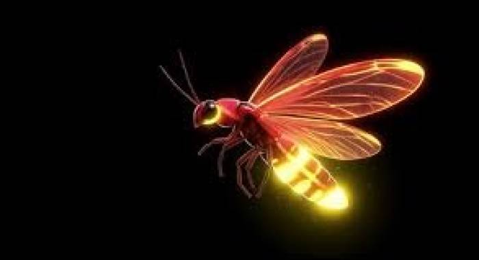 வெப்பம் ஏற்படுத்தாத ஒளி.