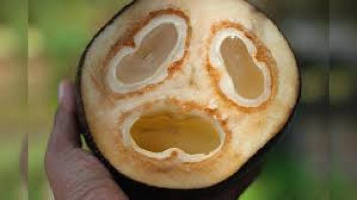 கழுத்தை வெட்டினால் கண் தெரியும்?அவன் யார்?