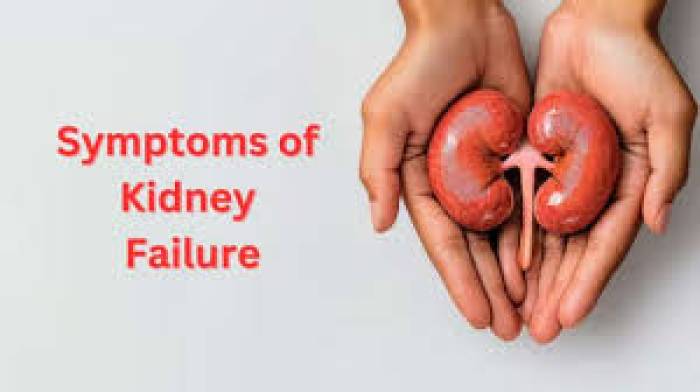 சிறுநீரக செயலிழப்பின் ஆரம்ப அறிகுறிகள்.