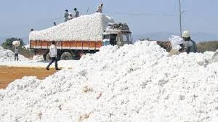 பருத்தி கொள்முதல் காட்டன் கார்ப்பரேஷன் மூலம்  நிலையம் அமைக்க வேண்டும்என விவசாய சங்க மக்கள் எதிர்பார்க்கின்றனர்  .