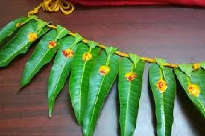 வீட்டில் உள்ள எதிர் மறை ஆற்றல் குறைய …