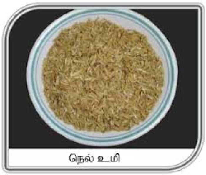 கட்டுப்பட்டு இருந்த மகளை, விட்டுப் பிரிந்து வந்தாள்.-