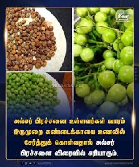 உணவுப் பழக்கம் பழமொழி வடிவில்:NO-2.