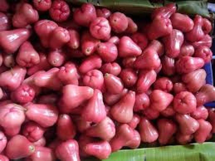 உடல் வெப்பத்தைக் குறைக்கும்  பன்னீர் ஆப்பிள் .