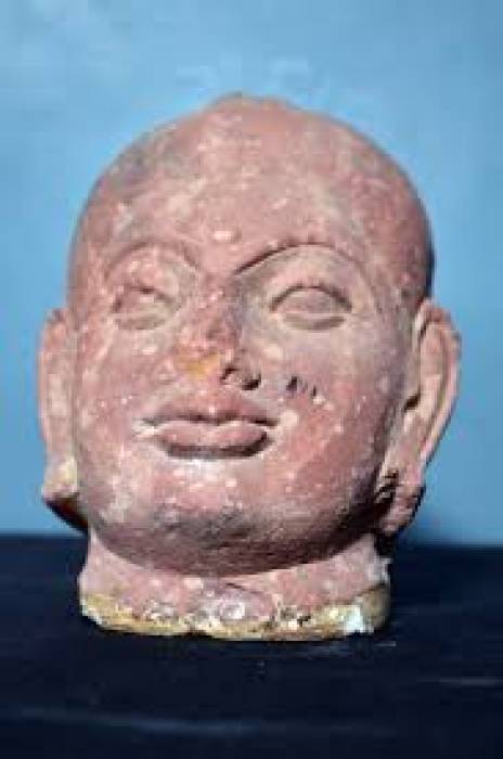 ராஜபாளையம் சேத்தூர் சேவுக பாண்டியன் மேல் நிலைப்பள்ளி வளாகத்தில் பத்தாம் நூற்றாண்டை சேர்ந்த உடைந்தநிலையில் சமணர் சிற்பம் கண்டெடுக்கப்பட்டு பாதுகாக்கப் பட்டுள்ளது.