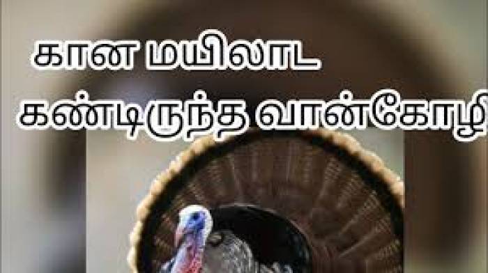 பறவைகள் பற்றிய பழமொழிகள் -2