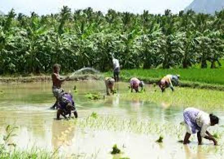 சுழற்சிமுறையில் பயிர் செய்வதன் மூலம்நிலம் இழந்த வளத்தினை மீட்டெடுக்கலாம்.