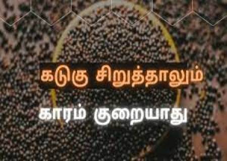 கடுகு சிறுத்தாலும் காரம்போகுமா?