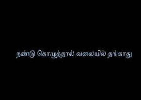 நண்டு கொழுத்தால் வலையில் தங்காது.