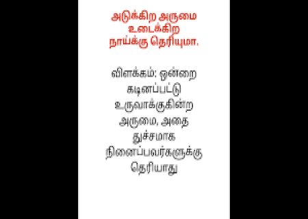 அடுக்கிற அருமை உடைக்கிற நாய்க்கு தெரியுமா ?