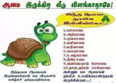 ஆமை   புகுந்த வீடு  விளங்காது