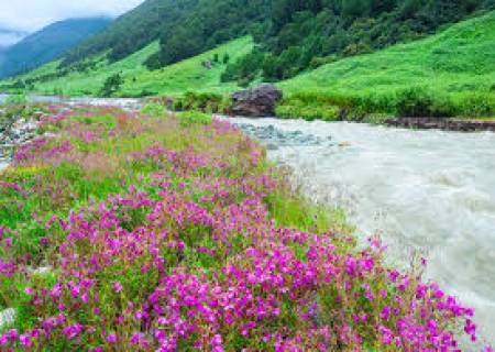 பூலோக சொர்க்கம்; VALLEY OF FLOWERS “பூக்களின் பள்ளத்தாக்கு