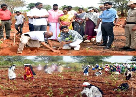 அரசு மேய்ச்சல் புறம்போக்கு நிலத்தில், “பழவம் குறுங்காடு” எனும் சுமார் 40,000 மரக்கன்றுகள் நடும் நிகழ்ச்சி