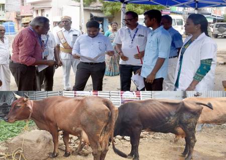 21 -வது கால்நடை கணக்கெடுப்பு பணியினை மாவட்ட ஆட்சித்தலைவர்  அவர்கள் துவக்கி வைத்தார்.