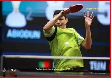 கன்டெண்டர்' டேபிள் டென்னிஸ்,