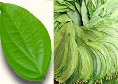 பான் பட்டாவின்(வெற்றிலை) நன்மைகள்..