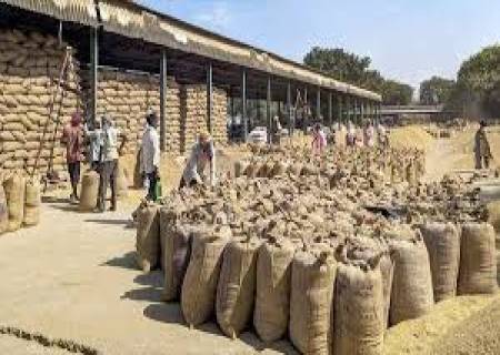 ராஜபாளையம் பகுதியில்,  நெல் கொள்முதல் நிலையம் திறக்கப்படுமா? என விவசாயிகள் எதிர்பார்ப்பு !