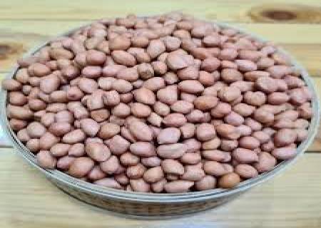 உடலுக்கு தேவையான ஆற்றலையும், சுறுசுறுப்பையும் தரும் வேர்க்கடலை